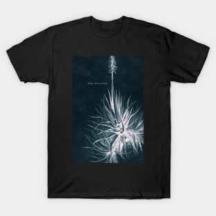 Cyanotype - Aloe Socotrina - C T-Shirt